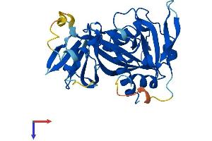 AlphaFold protein structure predicition of Mouse Recombinant Nudt17 Protein, UniprotID Q9CWD3