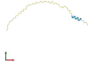 AlphaFold protein structure predicition of Mouse Recombinant Snurf Protein, UniprotID Q9WU12