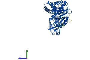 AlphaFold protein structure predicition of Mouse Recombinant Aarsd1 Protein, UniprotID Q3THG9