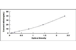 Typical standard curve (CPE Kit ELISA)