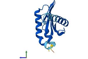 AlphaFold protein structure predicition of Human Recombinant LAMTOR2 Protein, UniprotID Q9Y2Q5