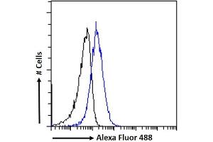 (ABIN184635) Flow cytometric analysis of paraformaldehyde fixed A549 cells (blue line), permeabilized with 0. (MTMR9 anticorps  (C-Term))