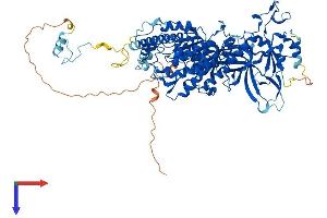 AlphaFold protein structure predicition of Mouse Recombinant Cmtr1 Protein, UniprotID Q9DBC3