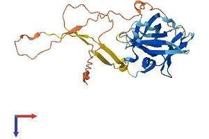 AlphaFold protein structure predicition of Human Recombinant IL33 Protein, UniprotID O95760