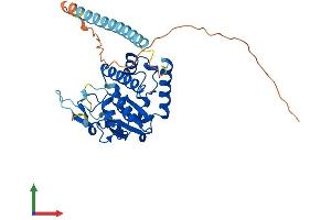 AlphaFold protein structure predicition of Mouse Recombinant Trmt10b Protein, UniprotID Q9D075