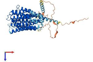 AlphaFold protein structure predicition of Mouse Recombinant Slc19a3 Protein, UniprotID Q99PL8