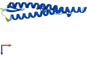 AlphaFold protein structure predicition of Mouse Recombinant Pdrg1 Protein, UniprotID P59048