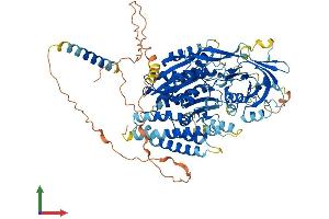 AlphaFold protein structure predicition of Human Recombinant NAALADL2 Protein, UniprotID Q58DX5