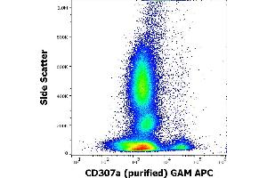 Flow cytometry surface staining pattern of human peripheral whole blood stained using anti-human CD307e (E3) purified antibody (concentration in sample 0,6 μg/mL, GAM APC). (FCRL1 anticorps)