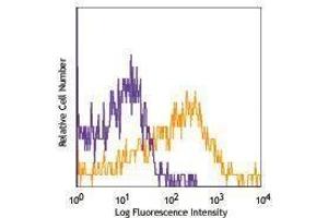 Flow Cytometry (FACS) image for anti-Ectonucleoside Triphosphate diphosphohydrolase 1 (ENTPD1) antibody (Biotin) (ABIN2660847)