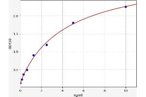 Typical standard curve