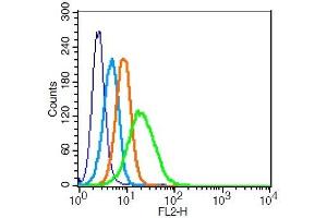 Human U937 probed with 	SIRP Alpha Polyclonal Antibody  at 1:100 for 30 minutes followed by incubation with a PE Conjugated secondary (green) for 30 minutes compared to control cells (blue), secondary only (light blue) and isotype control (orange).