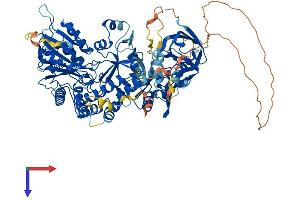 AlphaFold protein structure predicition of Mouse Recombinant Mocos Protein, UniprotID Q14CH1