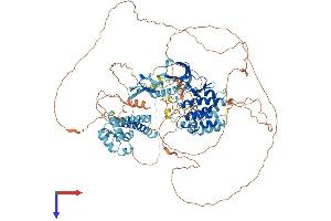 AlphaFold protein structure predicition of Human Recombinant KSR1 Protein, UniprotID Q8IVT5