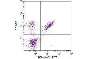 Chicken peripheral blood lymphocytes were stained with Mouse Anti-Chicken TCRαβ/Vβ1-FITC. (TCRab/Vb1 anticorps)
