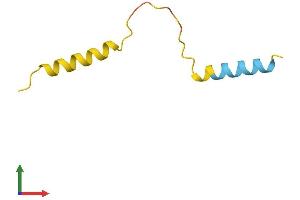 AlphaFold protein structure predicition of Human Recombinant ARHGAP5-AS1 Protein, UniprotID Q96IT6
