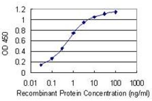 Detection limit for recombinant GST tagged PCBP1 is 0. (PCBP1 anticorps  (AA 181-280))