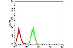 Flow cytometric analysis of Hela cells using KDM1A mouse mAb (green) and negative control (red).