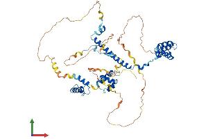 AlphaFold protein structure predicition of Mouse Recombinant Rcor2 Protein, UniprotID Q8C796
