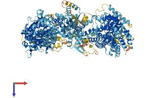 AlphaFold protein structure predicition of Human Recombinant ADCY10 Protein, UniprotID Q96PN6