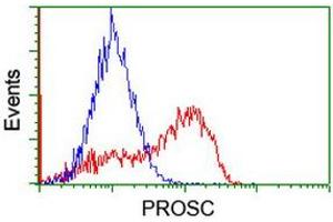 Image no. 2 for anti-Proline Synthetase Co-Transcribed (PROSC) antibody (ABIN1500439)