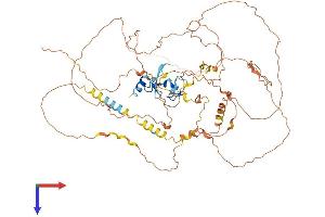 AlphaFold protein structure predicition of Mouse Recombinant Scel Protein, UniprotID Q9EQG3