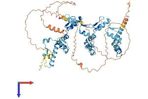 AlphaFold protein structure predicition of Human Recombinant ZNF614 Protein, UniprotID Q8N883