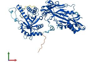 AlphaFold protein structure predicition of Human Recombinant PRMT5 Protein, UniprotID O14744