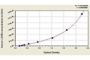 Typical standard curve (LDHB Kit ELISA)