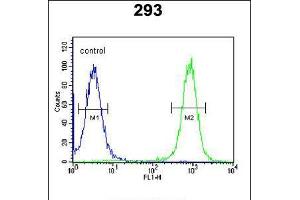 Flow cytometric analysis of 293 cells (right histogram) compared to a negative control cell (left histogram). (EPC2 anticorps  (N-Term))