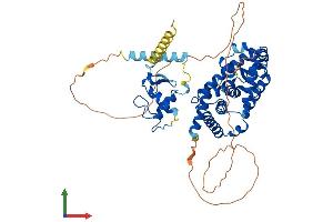 AlphaFold protein structure predicition of Human Recombinant RORC Protein, UniprotID P51449