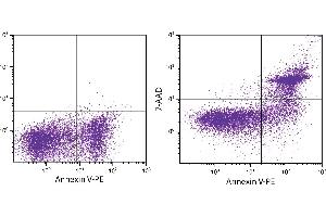 Flow Cytometry (FACS) image for Annexin V Apoptosis Kit-PE (ABIN376583)