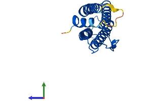 AlphaFold protein structure predicition of Mouse Recombinant Ftl1 Protein, UniprotID P29391