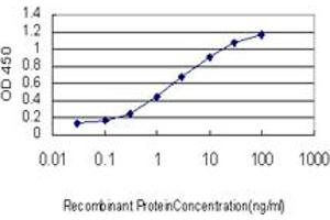 Detection limit for recombinant GST tagged DAZ1 is approximately 0. (DAZ1 anticorps  (AA 21-120))