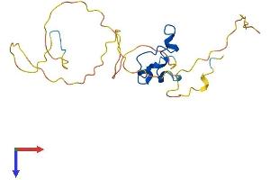 AlphaFold protein structure predicition of Human Recombinant CXXC4 Protein, UniprotID Q9H2H0