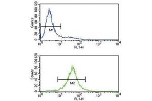 IL-10 antibody flow cytometry analysis of Jurkat cells (bottom histogram) compared to a negative control (top histogram). (IL-10 anticorps  (AA 27-53))