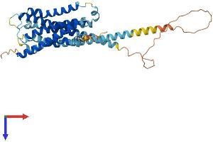 AlphaFold protein structure predicition of Human Recombinant HRH4 Protein, UniprotID Q9H3N8