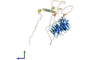AlphaFold protein structure predicition of Human Recombinant TLE6 Protein, UniprotID Q9H808