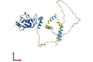 AlphaFold protein structure predicition of Human Recombinant UBE2U Protein, UniprotID Q5VVX9