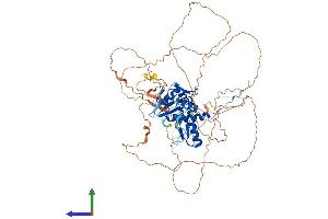 AlphaFold protein structure predicition of Human Recombinant ZBTB33 Protein, UniprotID Q86T24
