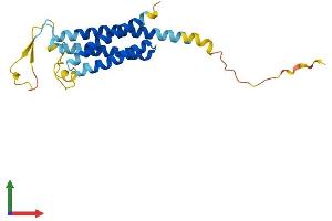 AlphaFold protein structure predicition of Human Recombinant NKAIN2 Protein, UniprotID Q5VXU1