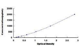 Angiopoietin-Like 6 (ANGPTL6) ELISA Kit