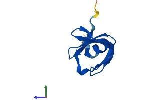 AlphaFold protein structure predicition of Human Recombinant LSM6 Protein, UniprotID P62312