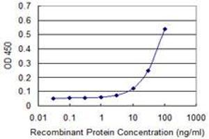 ELISA image for anti-V-Yes-1 Yamaguchi Sarcoma Viral Oncogene Homolog 1 (YES1) (AA 1-544) antibody (ABIN599008) (YES1 anticorps  (AA 1-544))