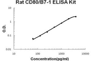 Rat CD80/B7-1 PicoKine ELISA Kit standard curve (CD80 Kit ELISA)