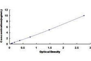 ELISA image for Neogenin 1 (NEO1) ELISA Kit (ABIN1117871)