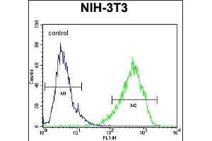 HOMEZ Antibody (N-term) (ABIN654727 and ABIN2844415) flow cytometric analysis of NIH-3T3 cells (right histogram) compared to a negative control cell (left histogram). (HOMEZ anticorps  (N-Term))
