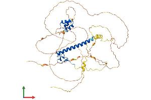 AlphaFold protein structure predicition of Mouse Recombinant Dmrta2 Protein, UniprotID A2A9A2