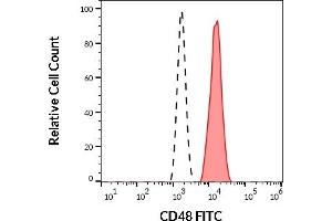 CD48 Antikörper  (FITC)