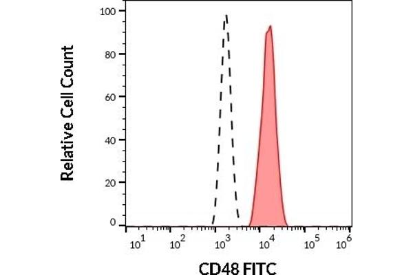 CD48 Antikörper  (FITC)